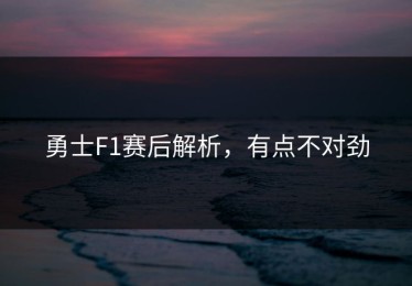 勇士F1赛后解析，有点不对劲