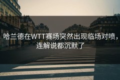 哈兰德在WTT赛场突然出现临场对喷，连解说都沉默了