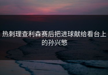 热刺理查利森赛后把进球献给看台上的孙兴慜