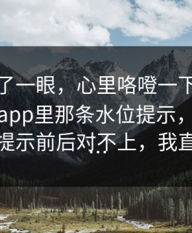 我就看了一眼，心里咯噔一下：爱游戏体育app里那条水位提示，配上那条临场提示前后对不上，我直接收手…