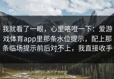 我就看了一眼，心里咯噔一下：爱游戏体育app里那条水位提示，配上那条临场提示前后对不上，我直接收手…