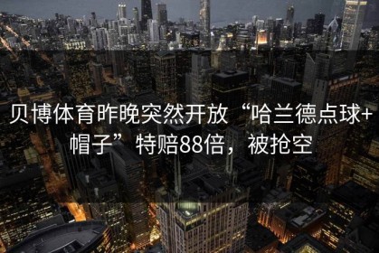贝博体育昨晚突然开放“哈兰德点球+帽子”特赔88倍，被抢空