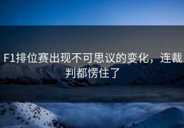 F1排位赛出现不可思议的变化，连裁判都愣住了