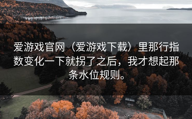 爱游戏官网（爱游戏下载）里那行指数变化一下就拐了之后，我才想起那条水位规则。