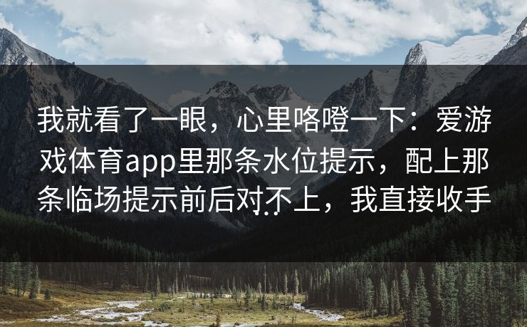 我就看了一眼，心里咯噔一下：爱游戏体育app里那条水位提示，配上那条临场提示前后对不上，我直接收手…