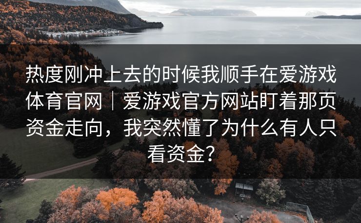 热度刚冲上去的时候我顺手在爱游戏体育官网｜爱游戏官方网站盯着那页资金走向，我突然懂了为什么有人只看资金？